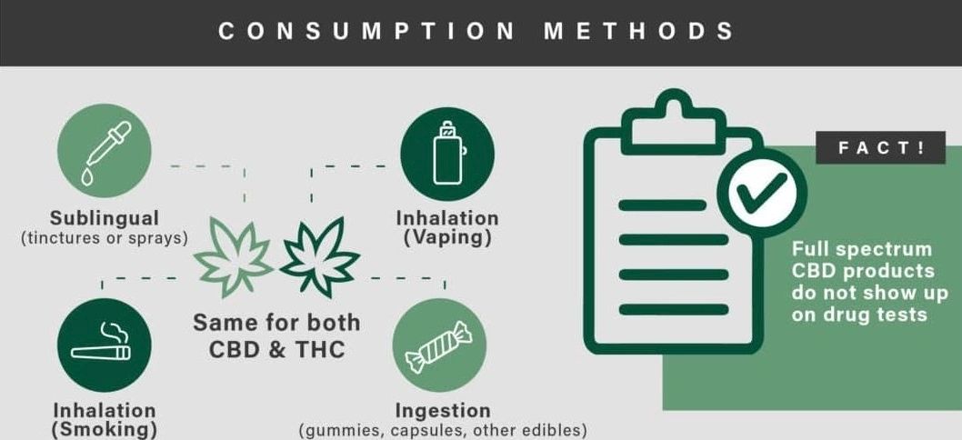 cannabis cbd consumptions methods. sublingual (tinctures or sprays), inhalation, ingestion