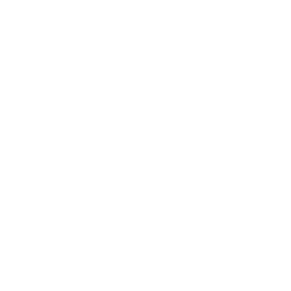 Neo Retro
