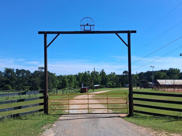 A rustic metal gate on a country road with trees and a clear blue sky.