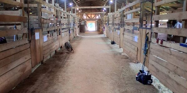 Interior of a wooden horse stable with stalls on both sides and dirt floor.