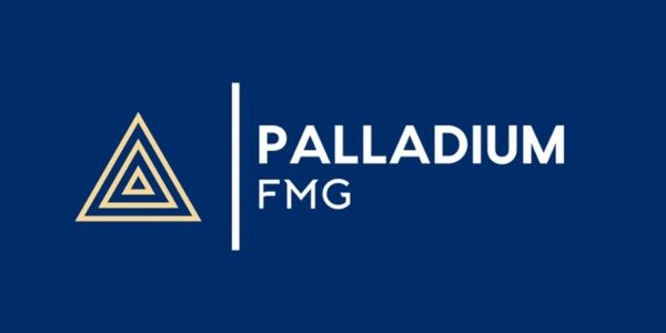 Palladium FMG logo with golden triangle and white text on blue background.