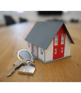 professional real estate services
