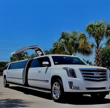 cadillac limo infront of palm trees in dallas texas