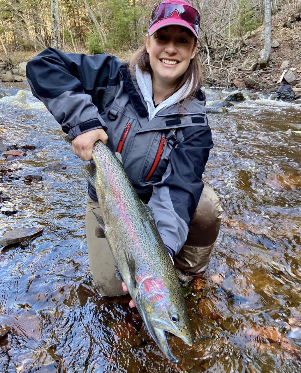 Small stream Lake Superior Steelhead