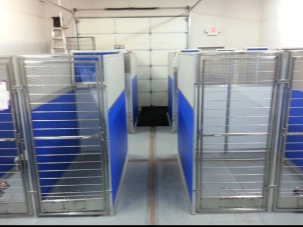Clean, quiet, spacious, air conditioned kennels for dogs of all sizes