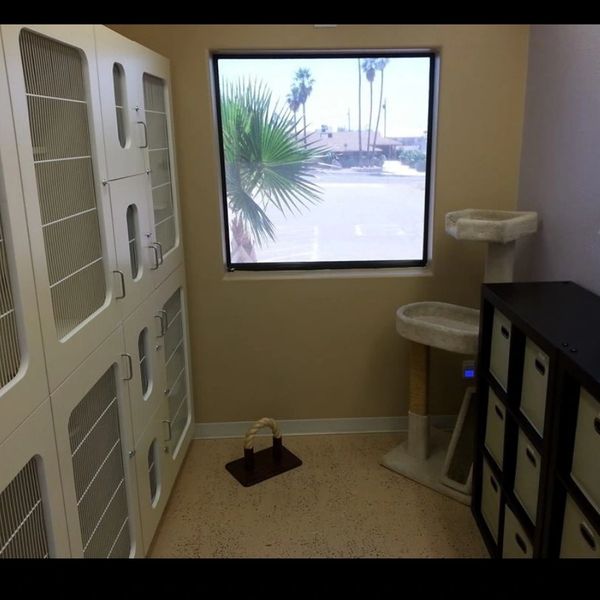 Quiet cat room, separate from dog area, full of comfy cat condos and two windows.