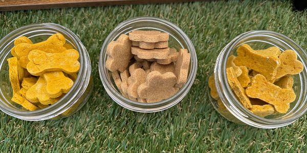 Three jars filled with bone and flower-shaped dog treats on grass.