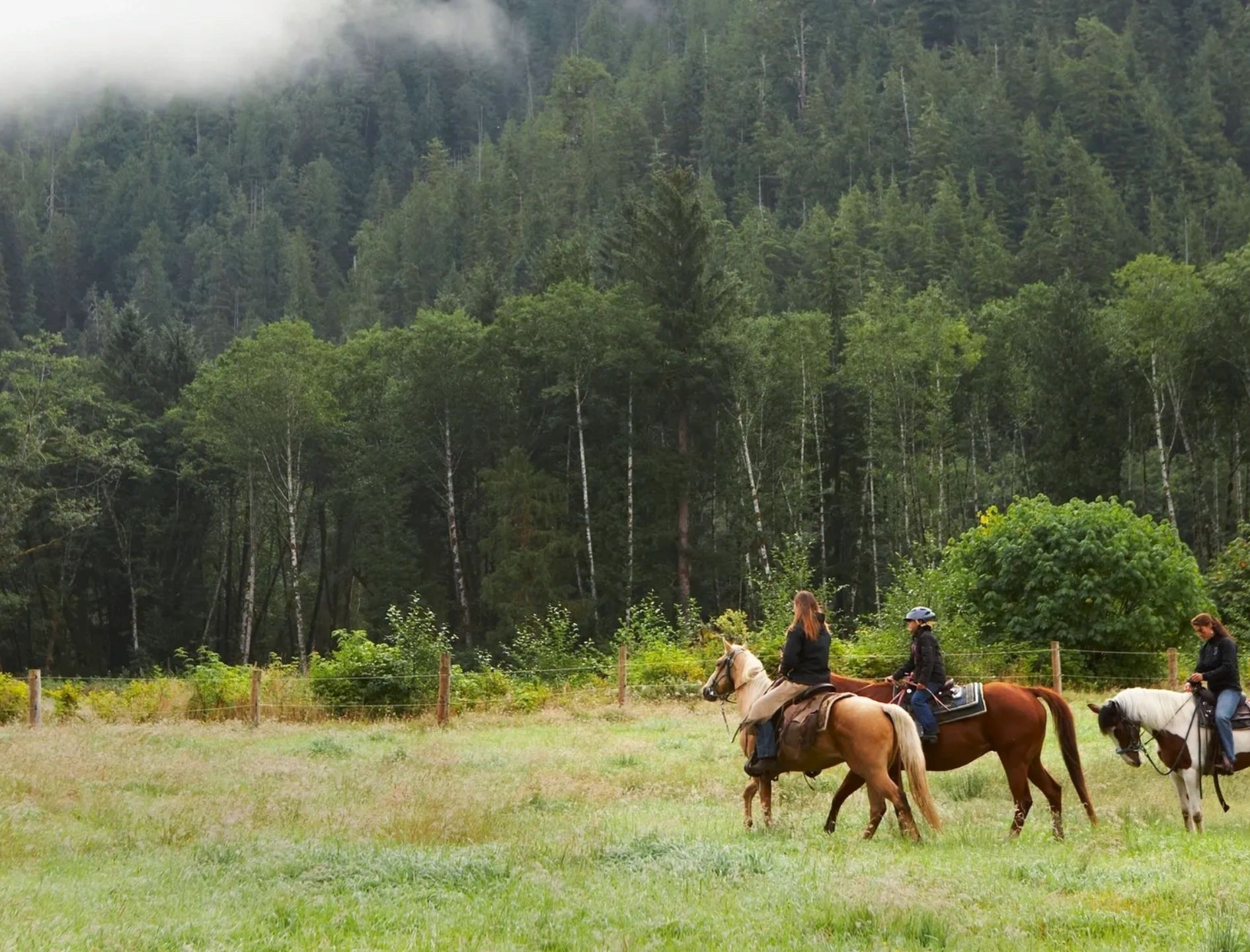 Community Equestrian