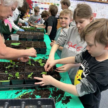 Children and an adult planting seedlings in small pots indoors.