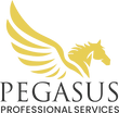 Pegasus Professional Services