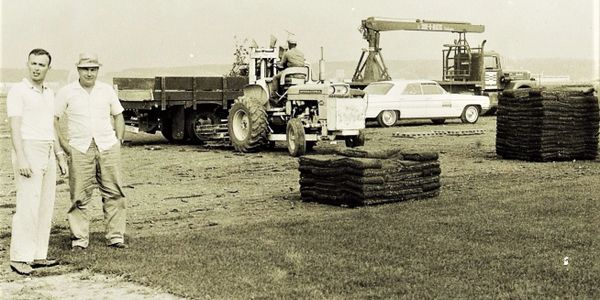 Sod Long Island, Sod Production 1960, Sodding Long Island, Turf Grass Long Island, Hermann Lindau