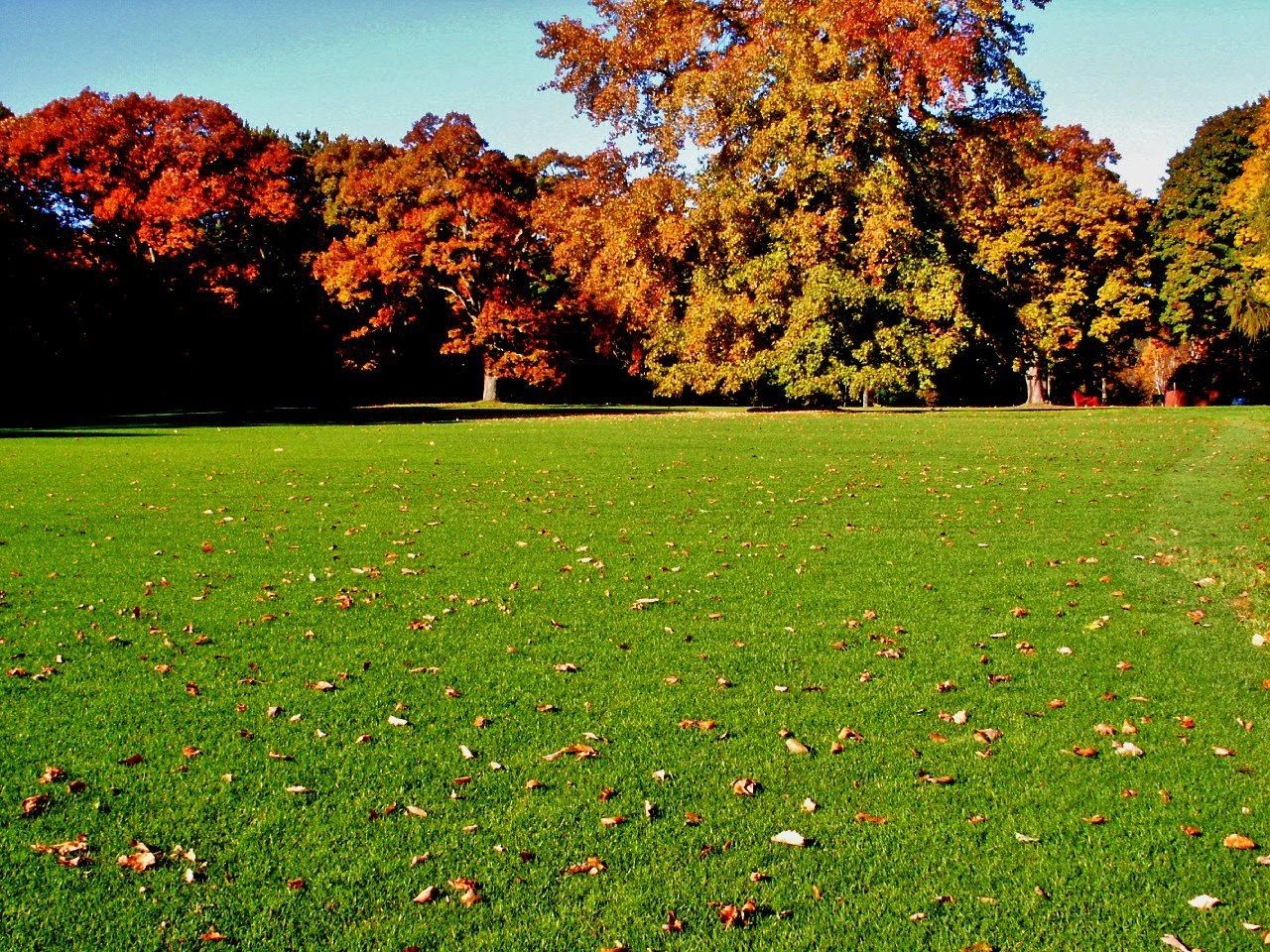 Finish Grading, Sod, sodding, turf development, Seeding, sod installation, landscape contractor