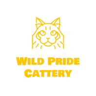 Wild Pride Cattery