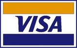 Visa payment logo