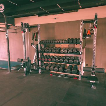 Organized gym area with dumbbells and workout equipment.