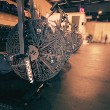 Row of Rogue brand exercise bikes in a gym with warm lighting.