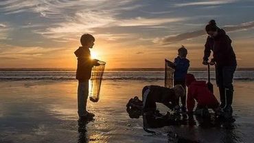 Family clamming 