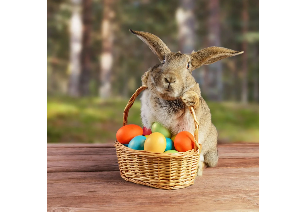 Easter Bunny with a Easter Basket of colorful eggs.