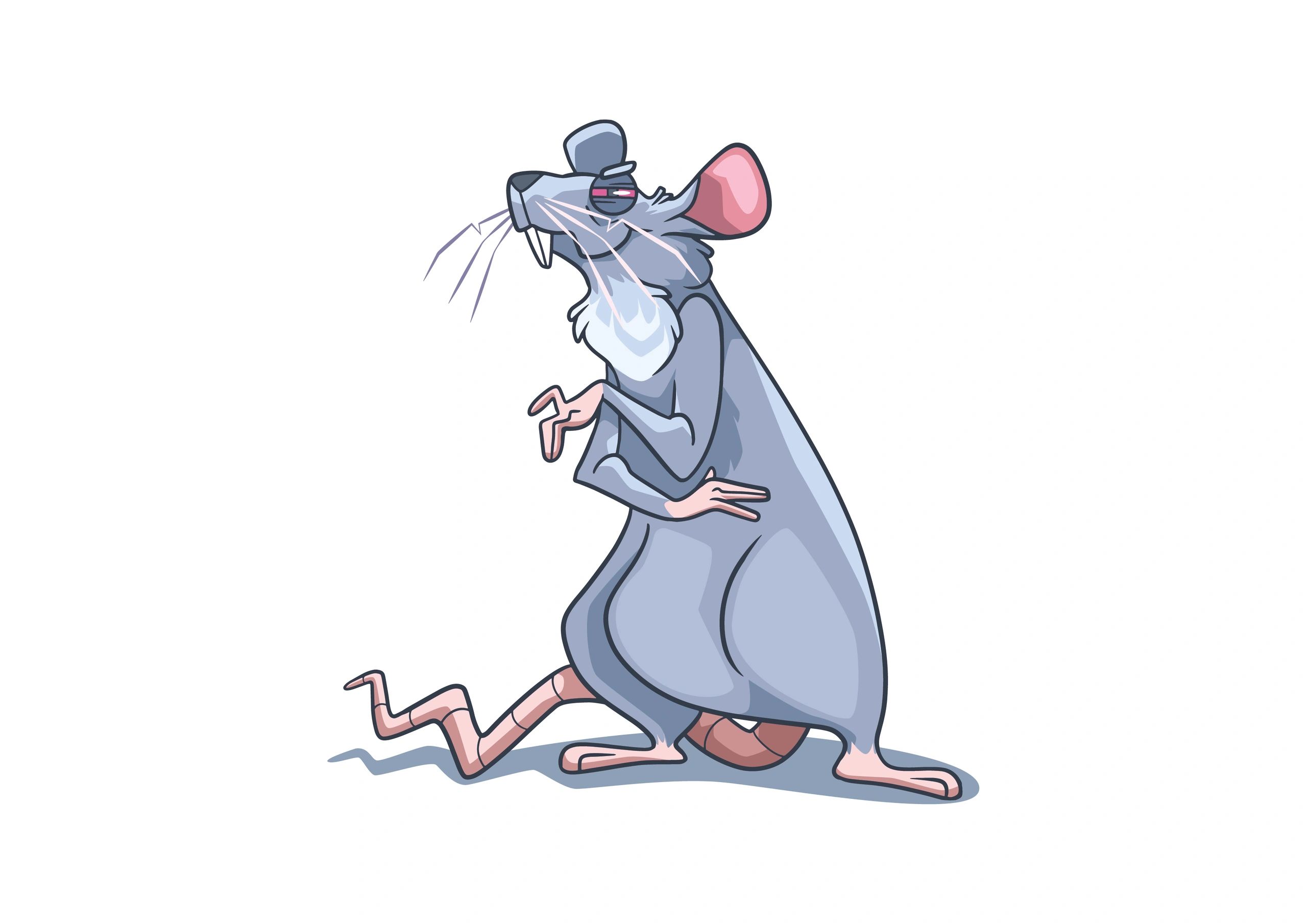 ROAPEL, Mice Control | Rochester, Newyork