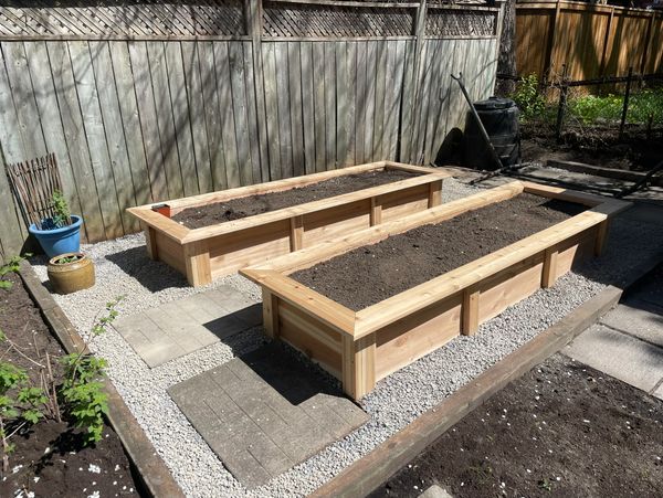 Two wooden raised garden beds filled with soil in a backyard.