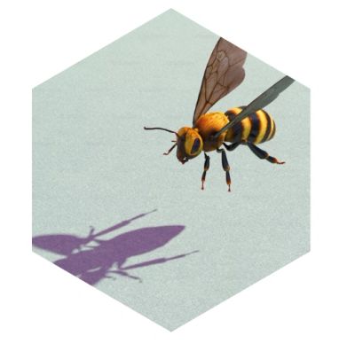 A flying bee casting a shadow on a surface.