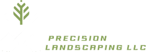 goprecisionlandscaping.com