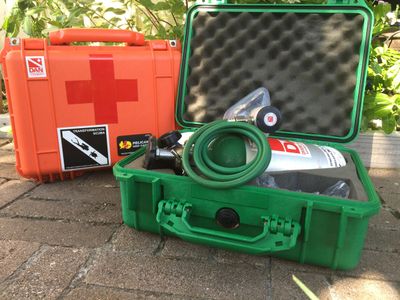 Everyone, especially divers, should be trained in First Aid, CPR, AED and Emergency Oxygen use.
