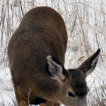 image110