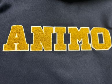 A blue colored hoodie with yellow color ANIMO logo 