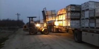 Martin James loading honeybees.