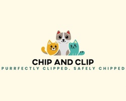Chipandclip