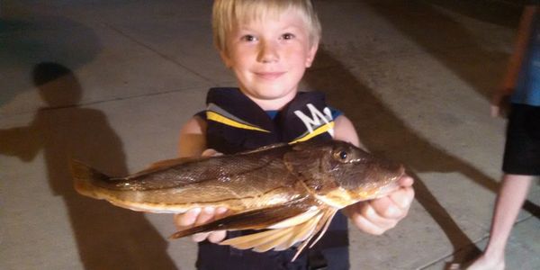Small Kid Holding Out a Sea Robin