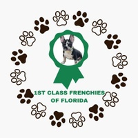 1st Class Frenchies of Florida