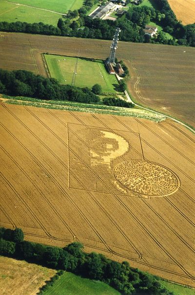 Crop circle in Crabwood, England in 2002.