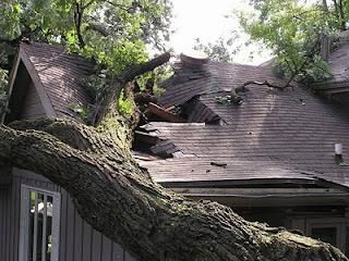 roof damage