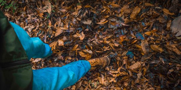 Person walking on a ground covered with dry autumn leaves.