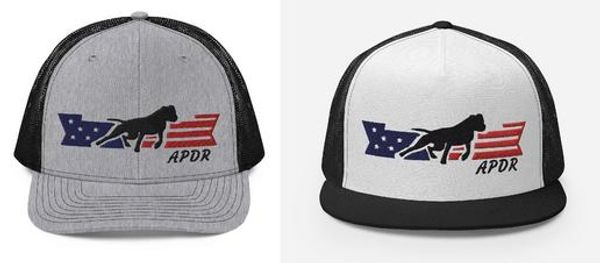 APDR Mesh Hat