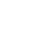 Skynorr Digital
