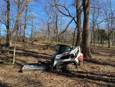 Forestry mowing to reclaim a customers yard!
