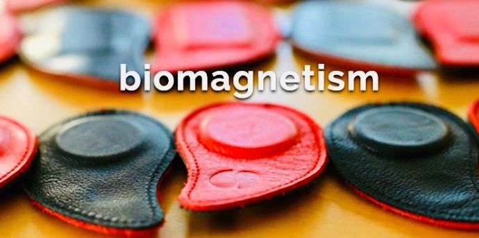 Biomagnetism Therapy and Training helps you restore balance and harmony naturally.