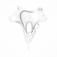 VETERINARY DENTAL SERVICES AND CONSULTING