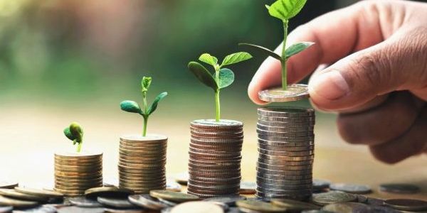 Plants growing from stacks of coins symbolizing financial growth.