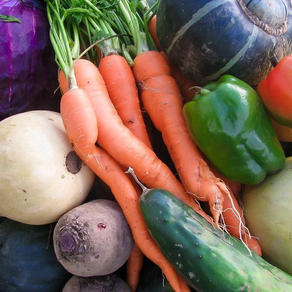 Légumes biologiques de saison