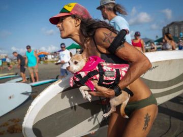 Ohana Surf Dog Contest 2021 valerie and TinkerBell