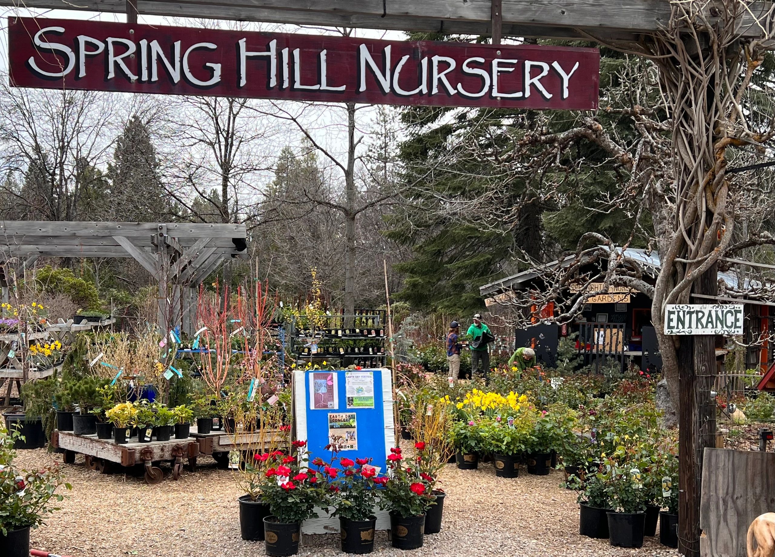 Spring Hill Nursery and Gardens Plants, Nursery, Gardens