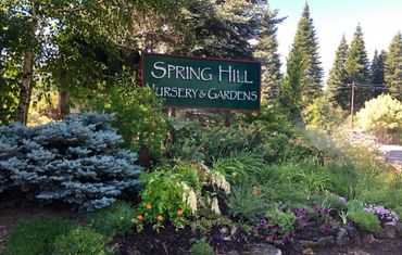 Summer 2019 and the beautiful front garden is overflowing with flowers in full bloom. So welcoming.