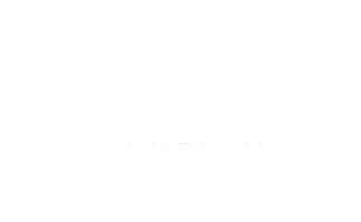 BluePalm Solutions
