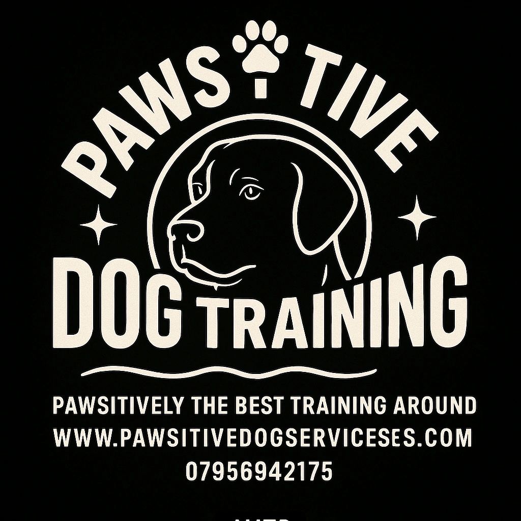 Pawsitive Dog Training: Transform Your Pup's Behavior