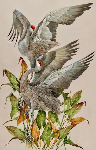 Sandhill Cranes
ORIGINAL SOLD