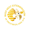                                                  Wasp Nest Extermination In Prestwick and Ayr